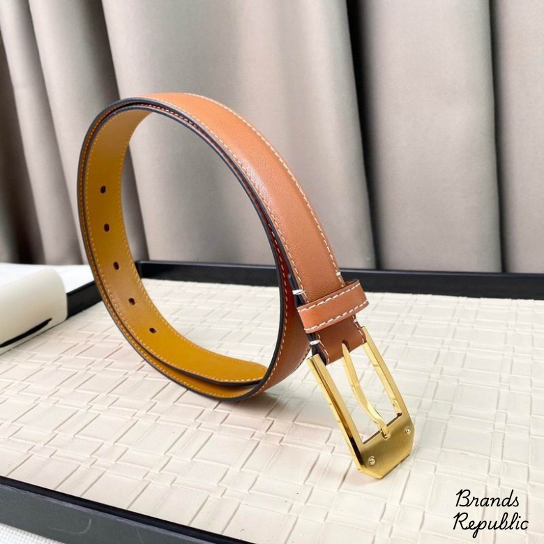 Hermès 25MM Classic Brown Interchangeable Belt In Different Buckle Colors