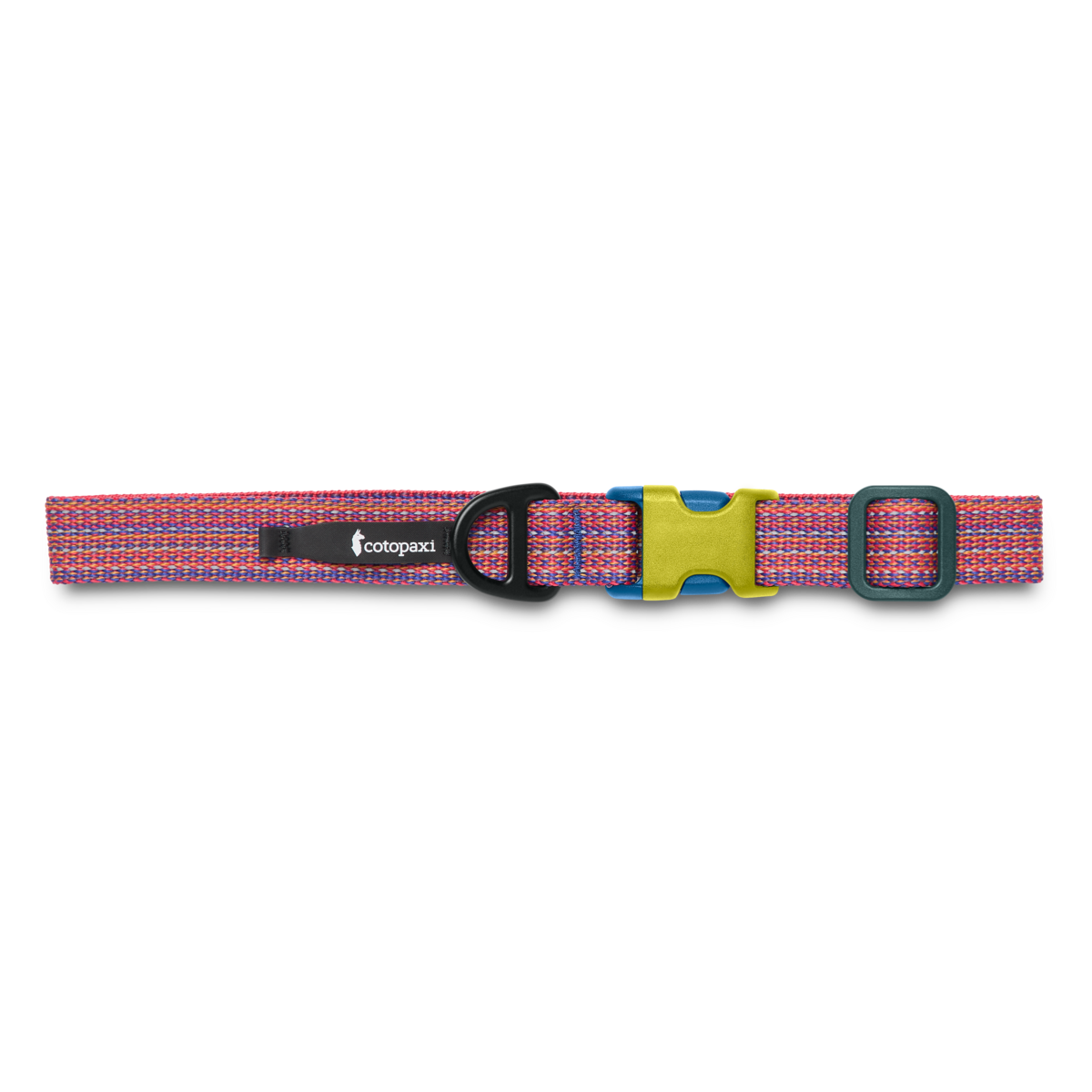 Del Día Dog Collar