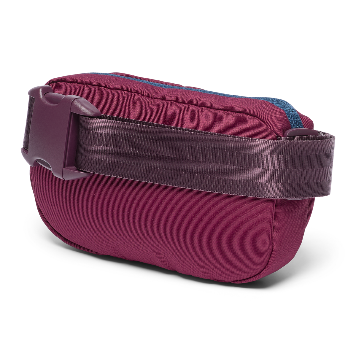 Todo 2L Hip Pack