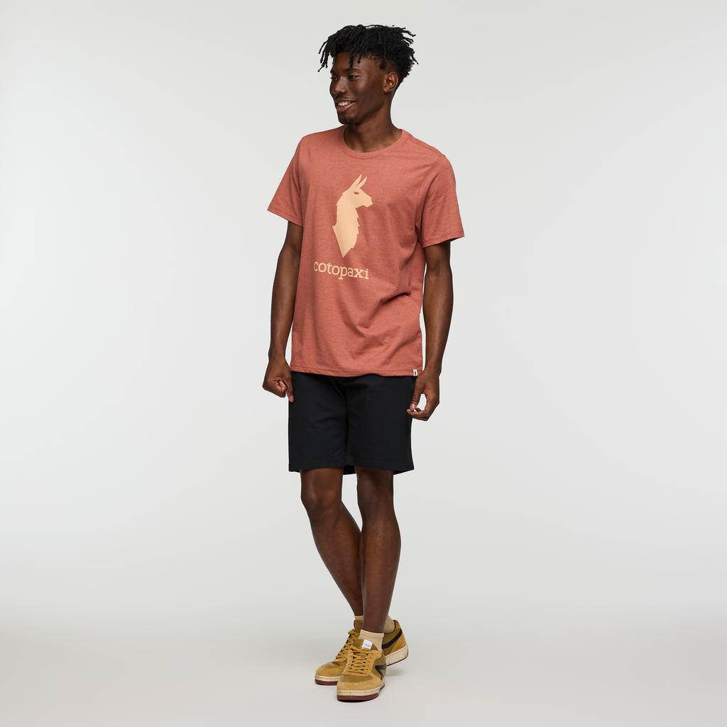Cotopaxi Llama T-Shirt - Men's