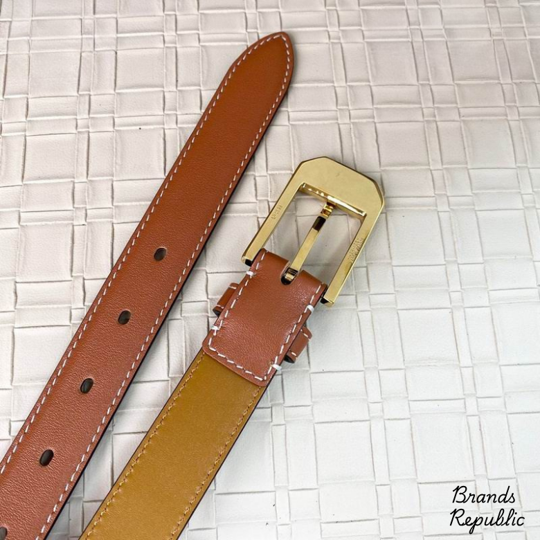 Hermès 25MM Classic Brown Interchangeable Belt In Different Buckle Colors