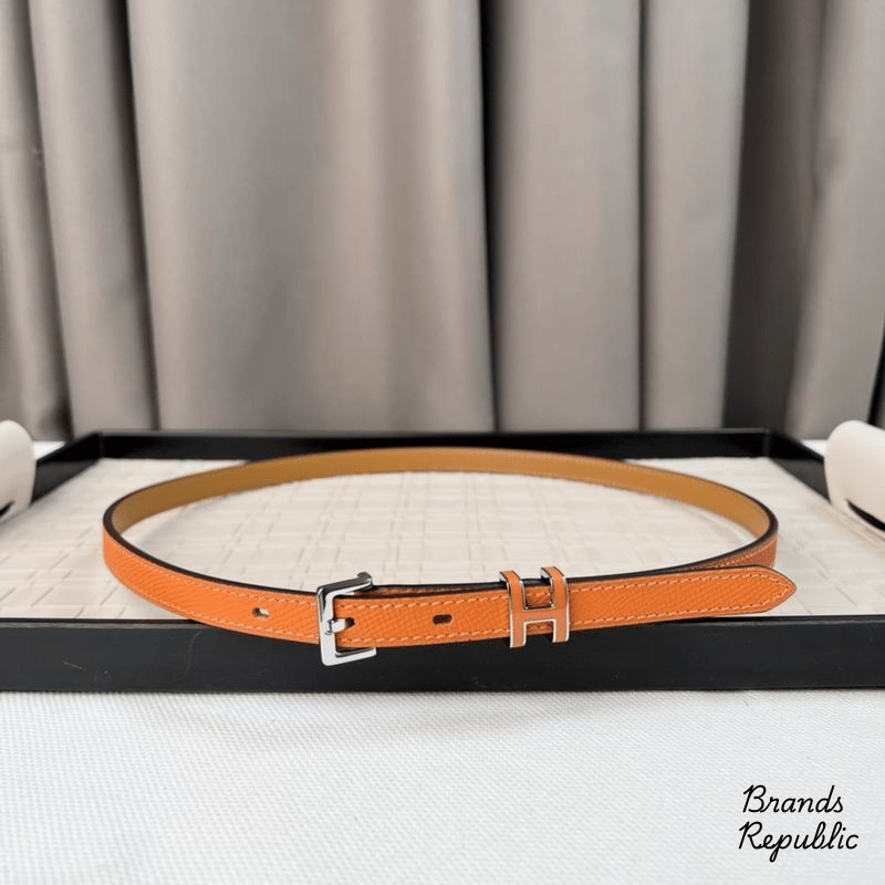 Hermès 15MM Pop H 15 Belt In Different Colors