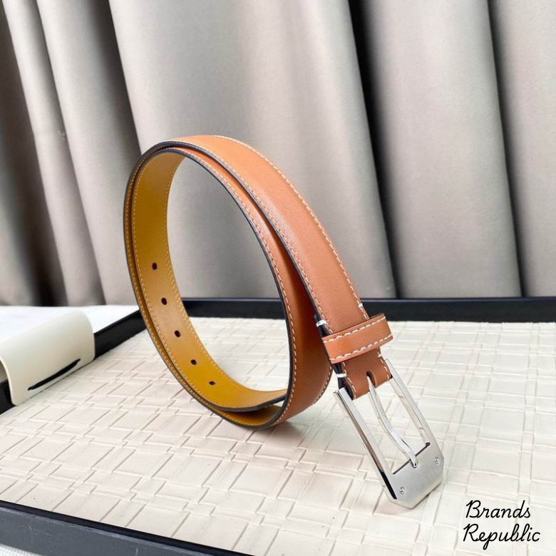Hermès 25MM Classic Brown Interchangeable Belt In Different Buckle Colors
