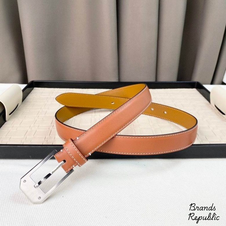 Hermès 25MM Classic Brown Interchangeable Belt In Different Buckle Colors